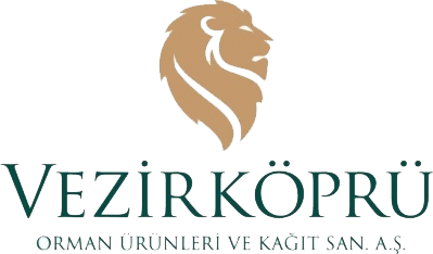 Vezirköprü Forest Products and Paper Industry Inc. joined Turanlar Group through privatization